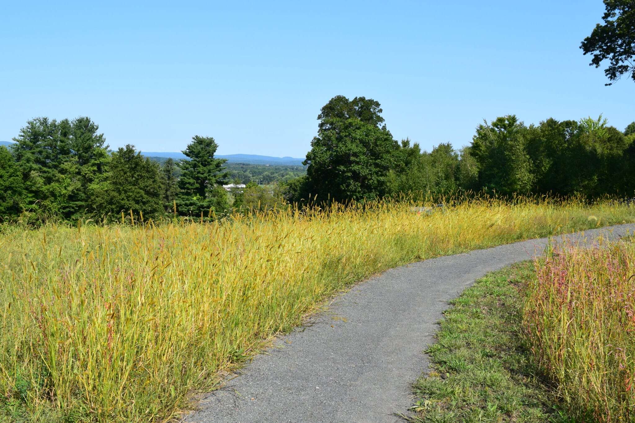 MT. TOM TRAILHEAD PARK Dodson & Flinker Landscape Architecture and