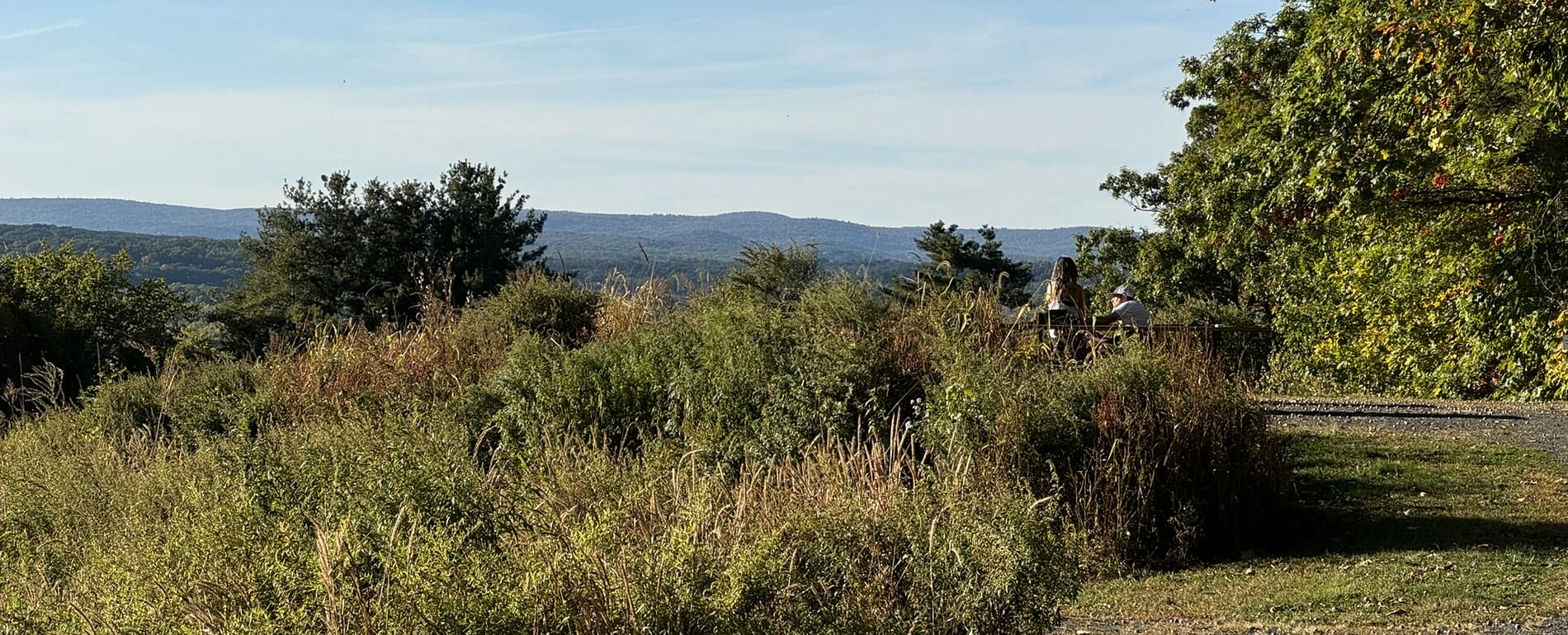 MT. TOM NORTH TRAILHEAD PARK