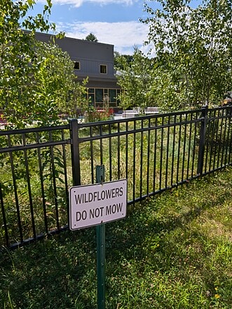 Sign says "Wildflowers do not mow"