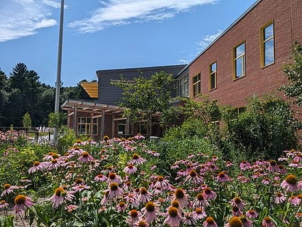 Lush pollinator gardens in front of Shaw Elementary School