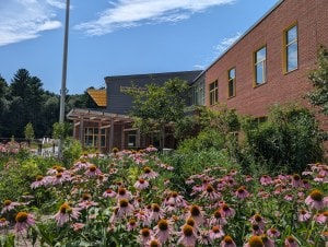 Lush pollinator gardens in front of Shaw Elementary School